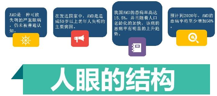 什么,是,黄斑,变性,如何,应对,许多,到了,一定, 什么,是,黄斑,变性,如何,应对,许多,到了,一定,