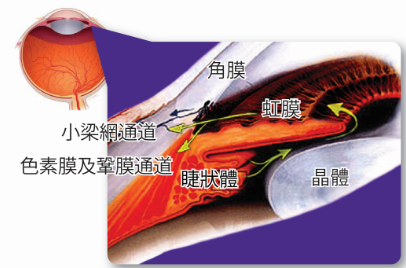 深圳希玛林顺潮眼科医院：眼压正常是否要担心青光眼