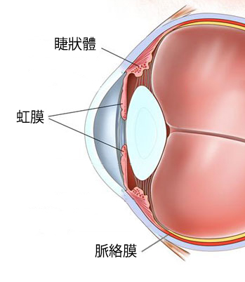 眼病科普